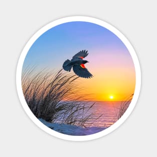 Red Winged Blackbird at Sunset Magnet